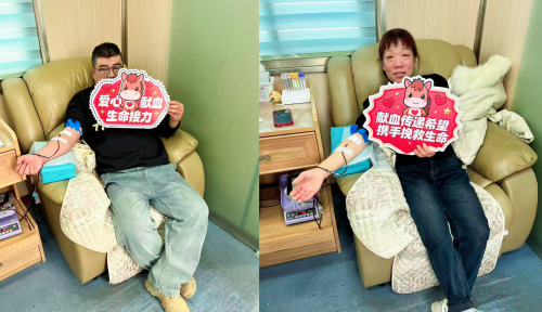 【图片】雪很美,这里更美! (3)